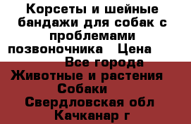 Корсеты и шейные бандажи для собак с проблемами позвоночника › Цена ­ 2 500 - Все города Животные и растения » Собаки   . Свердловская обл.,Качканар г.